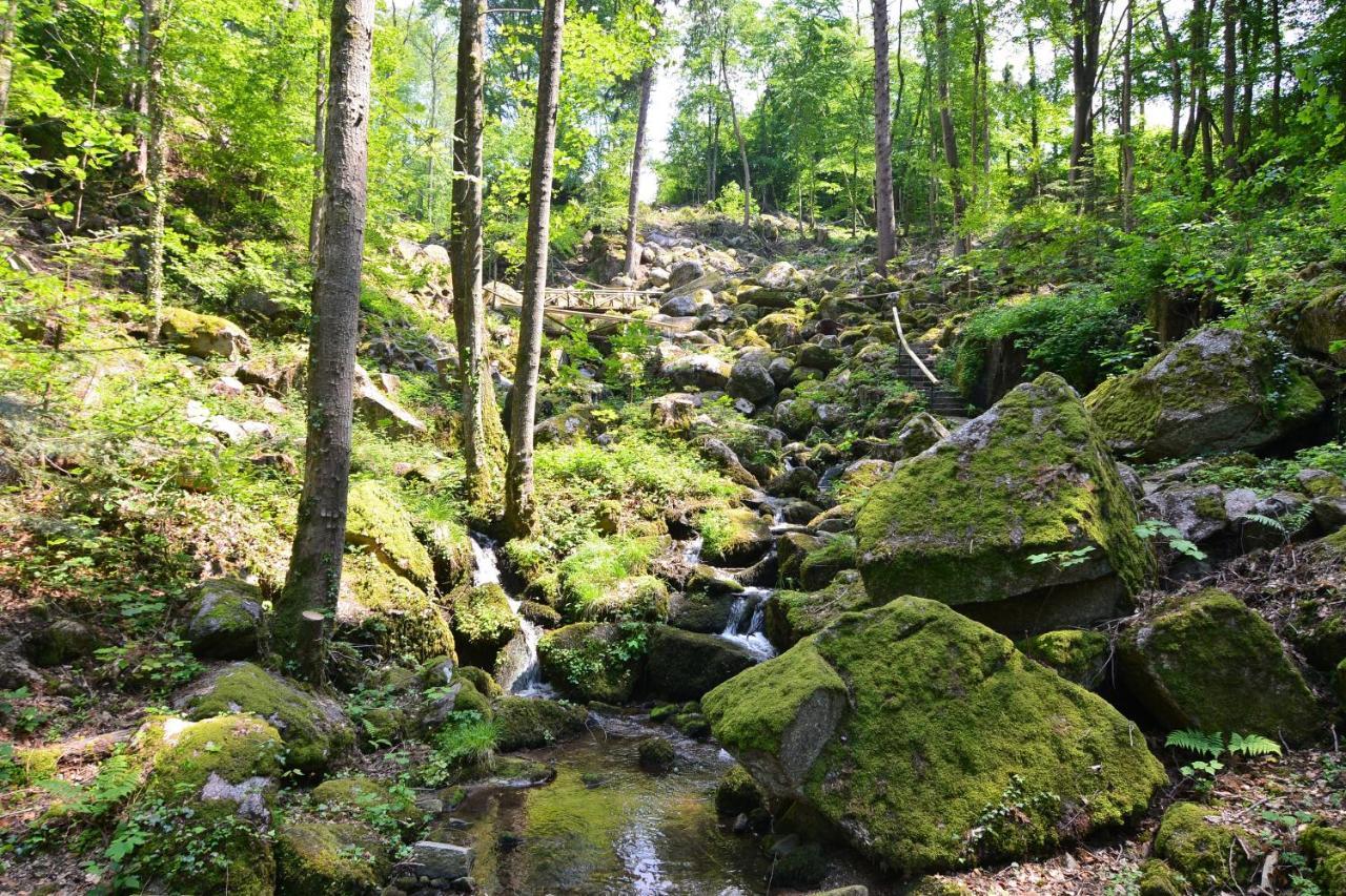 Relaxhotel Tannenhof Sasbachwalden Kültér fotó