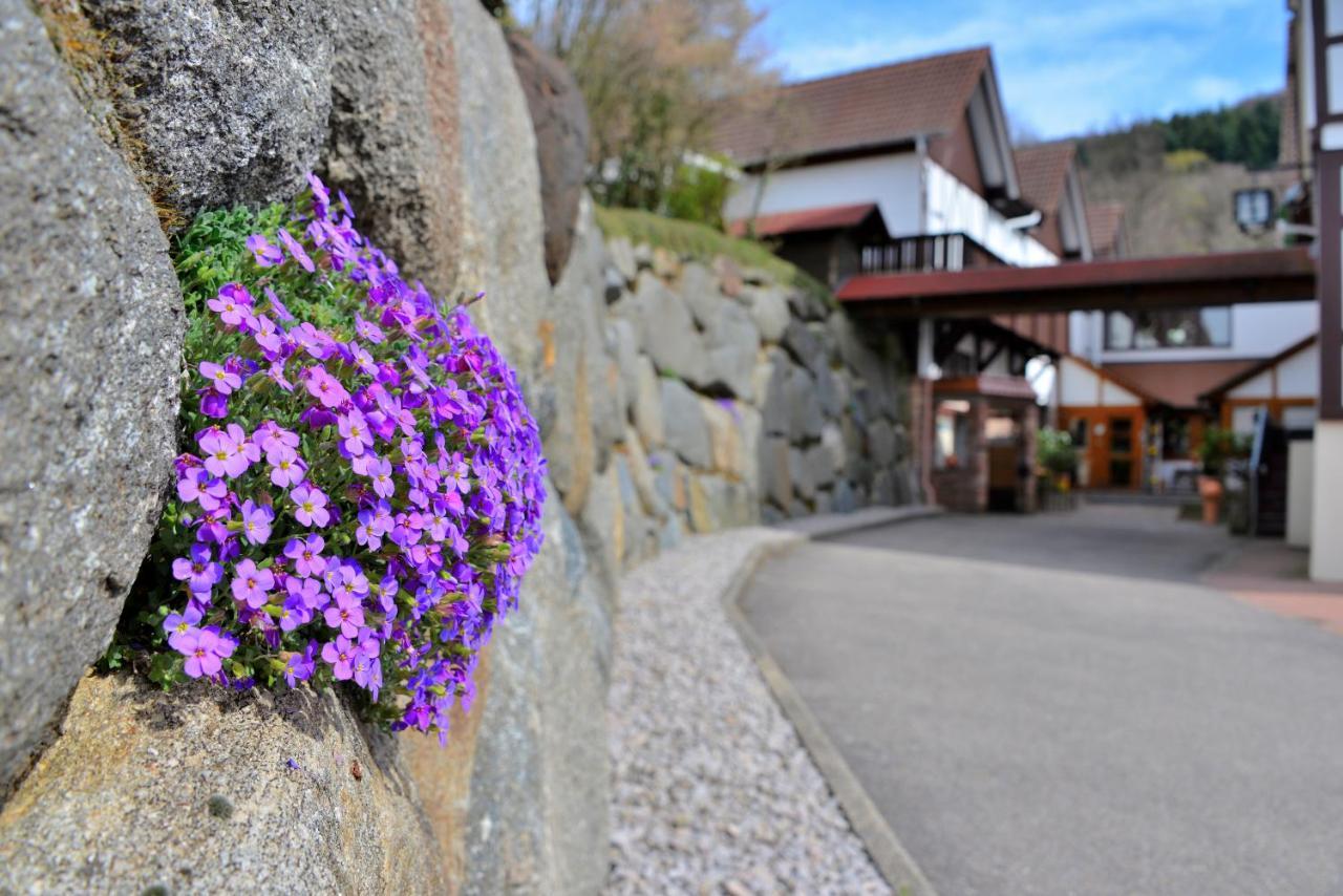 Relaxhotel Tannenhof Sasbachwalden Kültér fotó