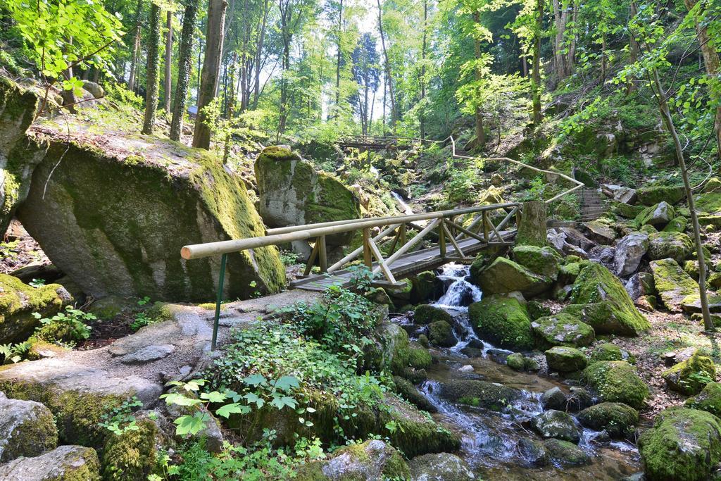 Relaxhotel Tannenhof Sasbachwalden Kültér fotó