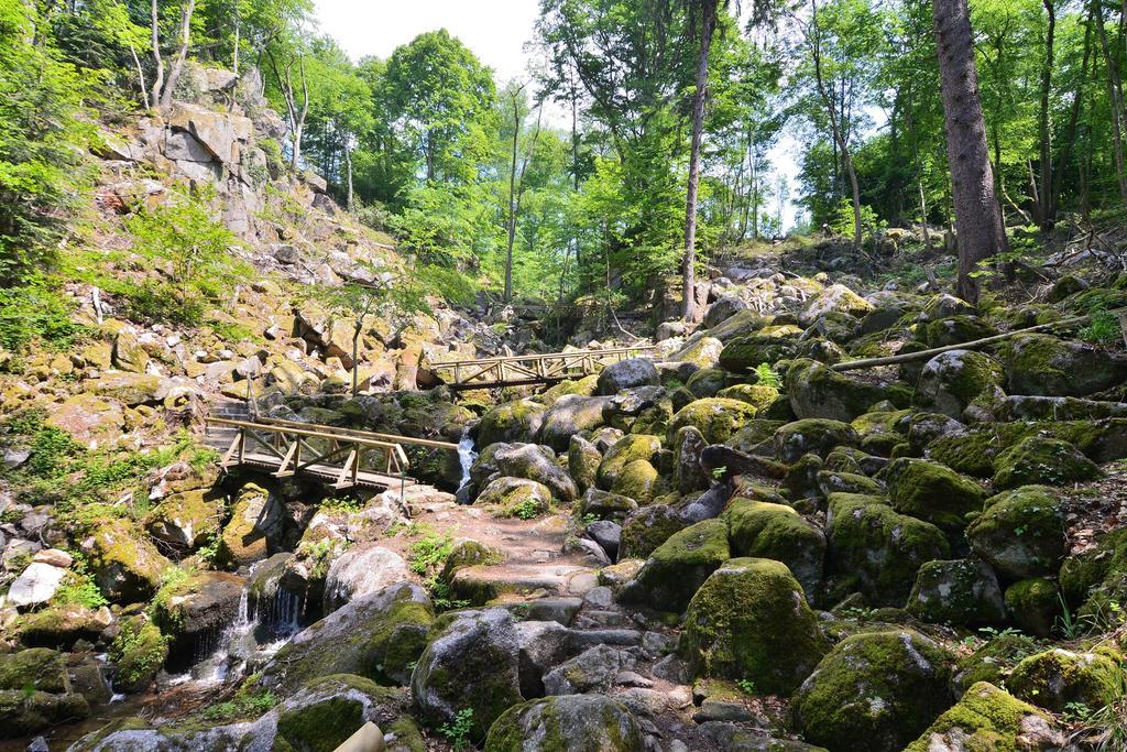 Relaxhotel Tannenhof Sasbachwalden Kültér fotó
