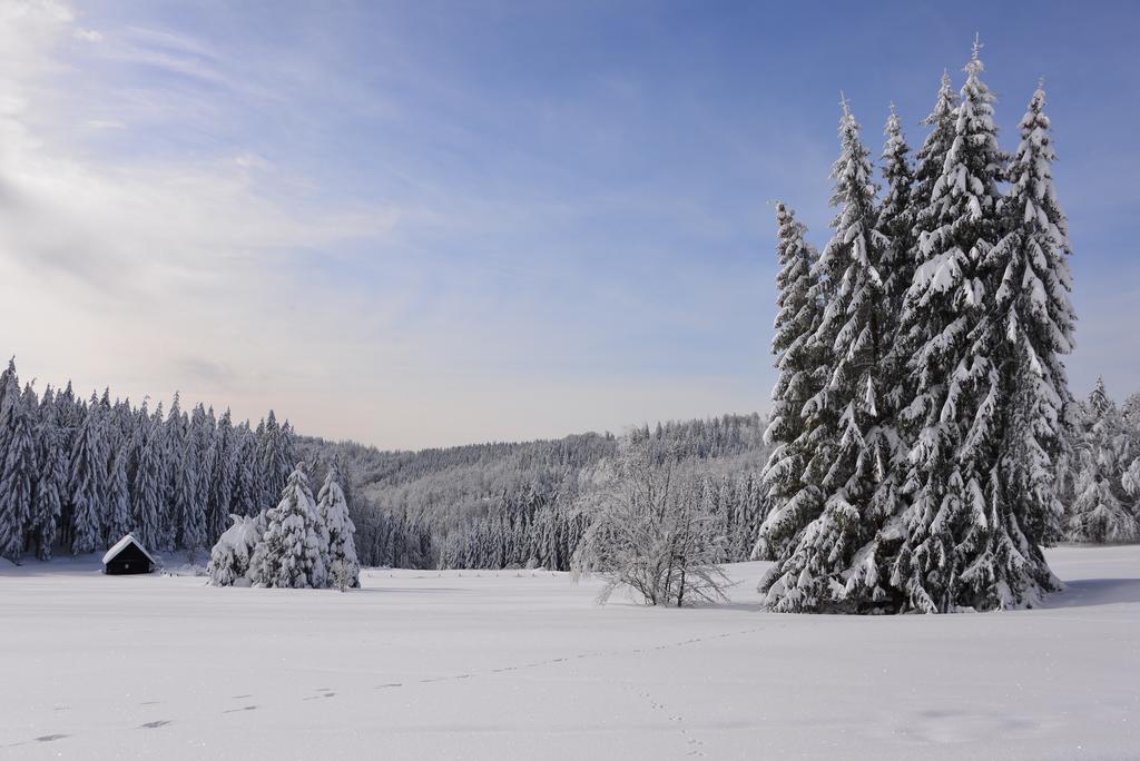 Relaxhotel Tannenhof Sasbachwalden Kültér fotó