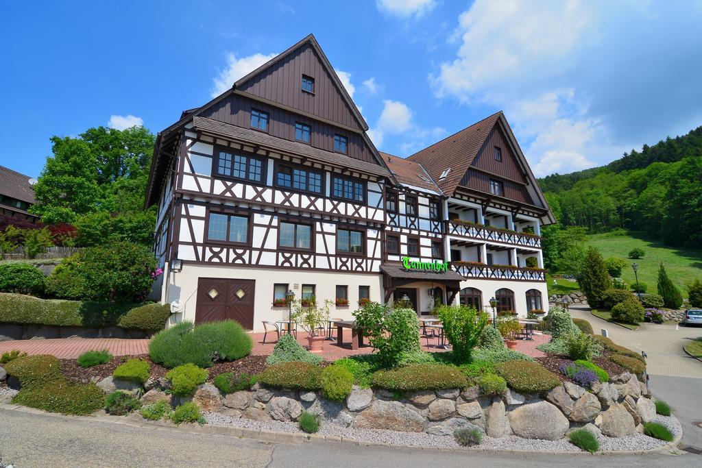 Relaxhotel Tannenhof Sasbachwalden Kültér fotó