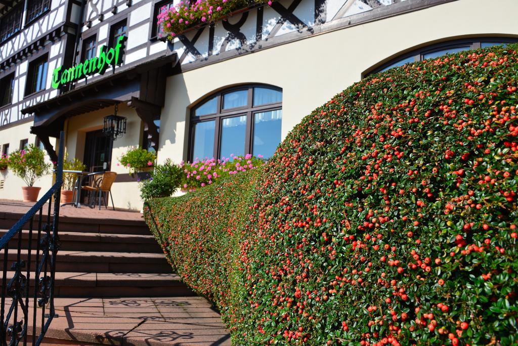 Relaxhotel Tannenhof Sasbachwalden Kültér fotó