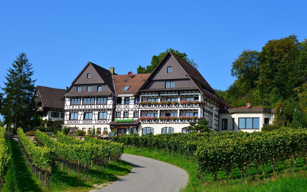 Relaxhotel Tannenhof Sasbachwalden Kültér fotó